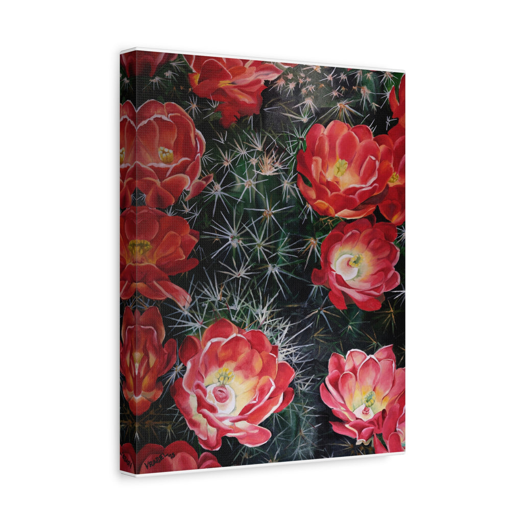 Cactus Flower - Canvas Fine Art Print
