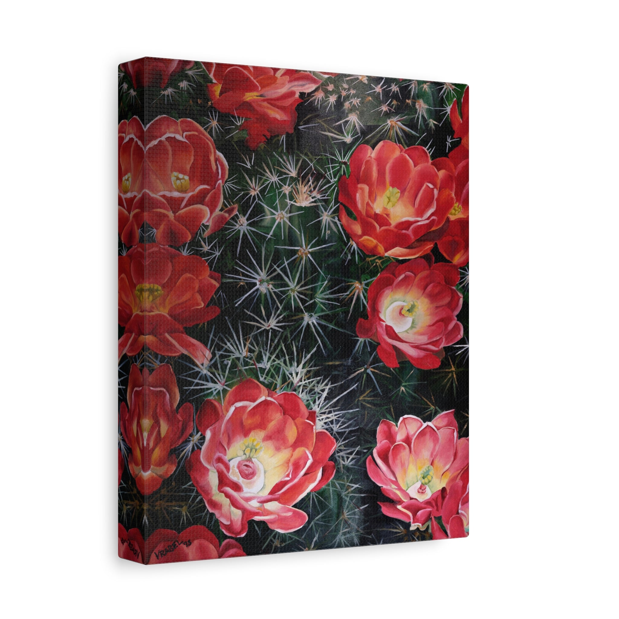 Cactus Flower - Canvas Fine Art Print