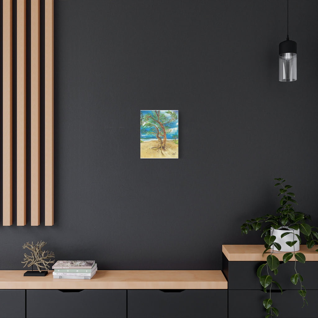 Beach Tree - Canvas Fine Art Print