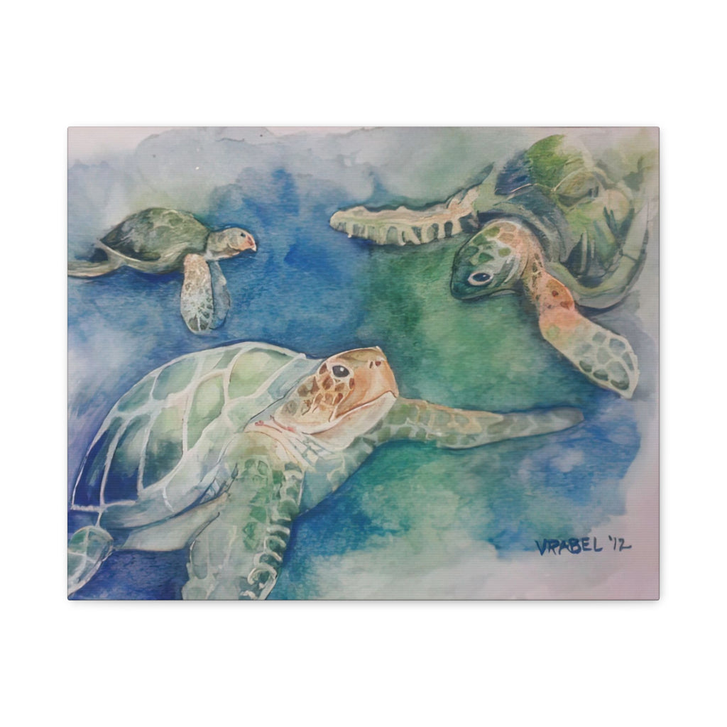 3 Honu - Canvas Fine Art Print