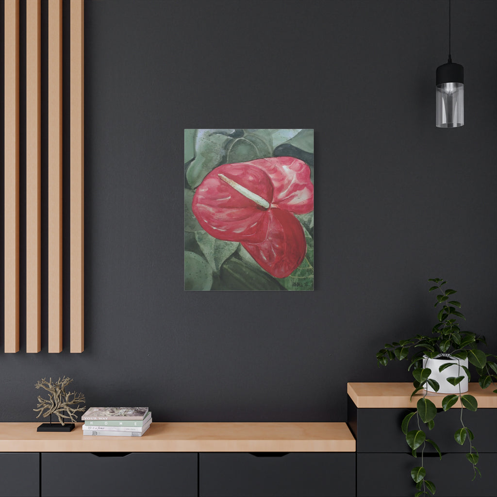 Single Anthurium - Canvas Fine Art Print