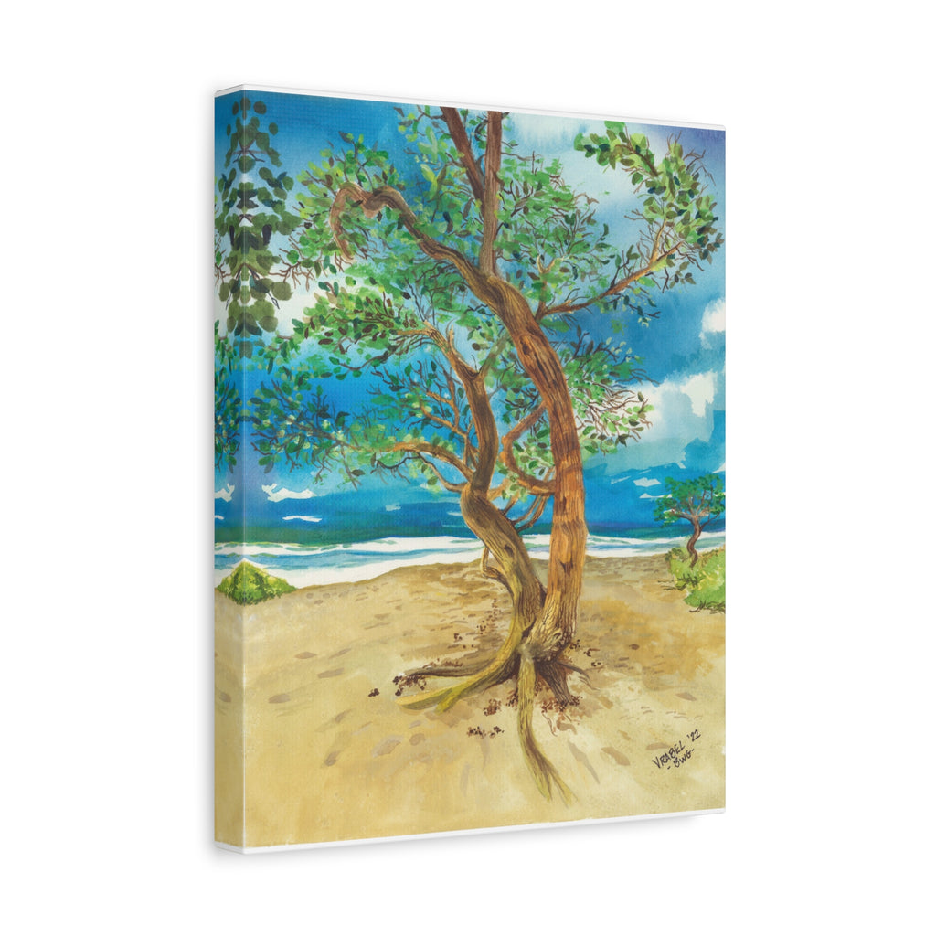 Beach Tree - Canvas Fine Art Print