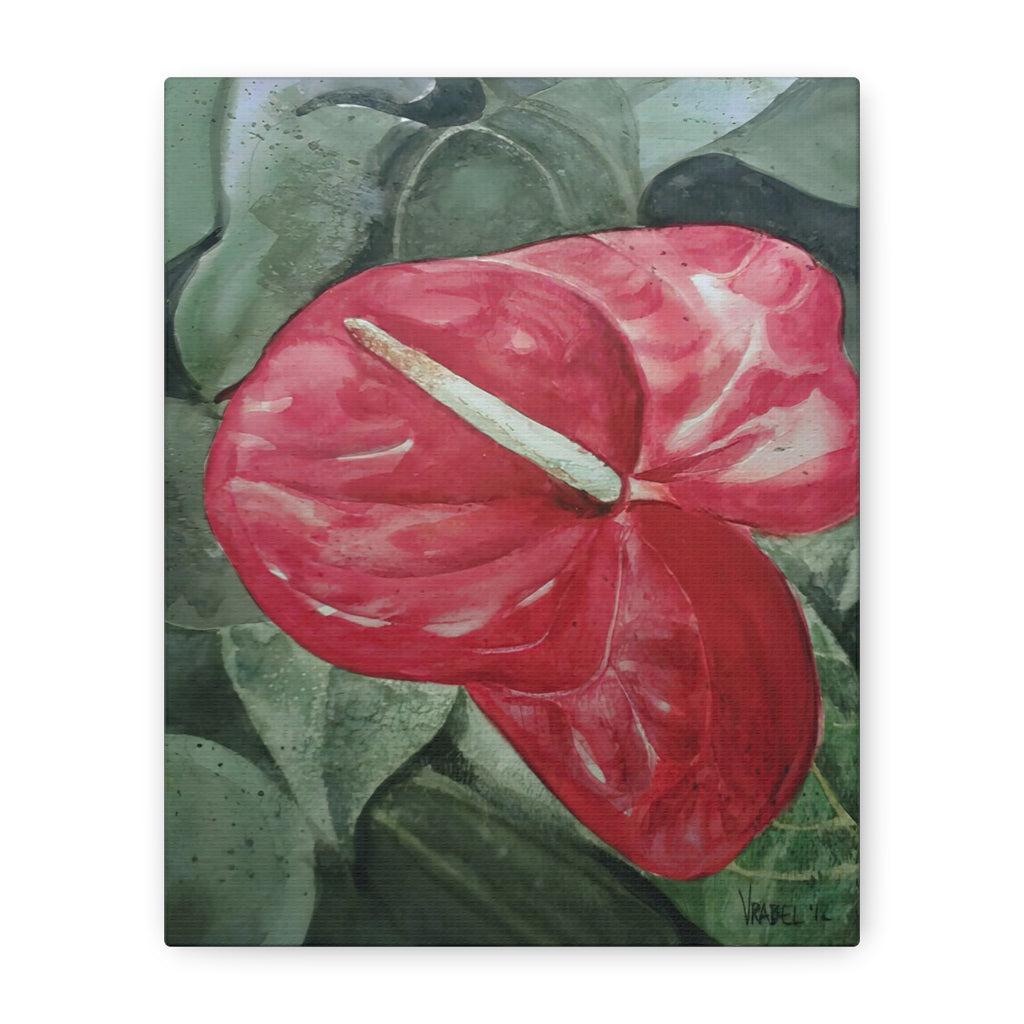 Single Anthurium - Canvas Fine Art Print