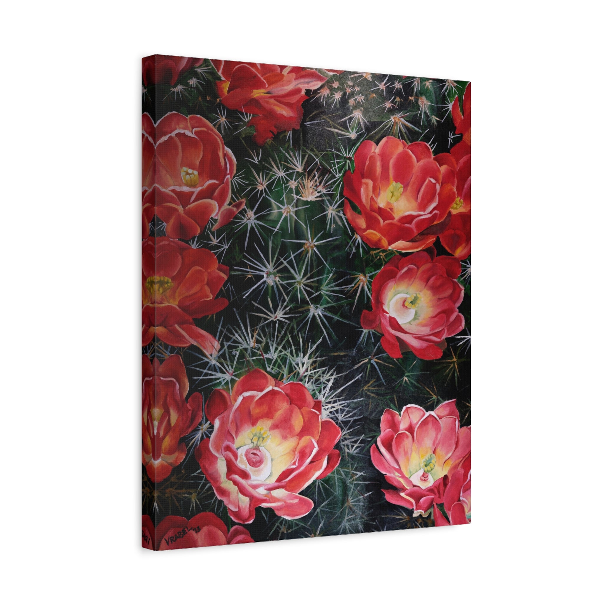 Cactus Flower - Canvas Fine Art Print