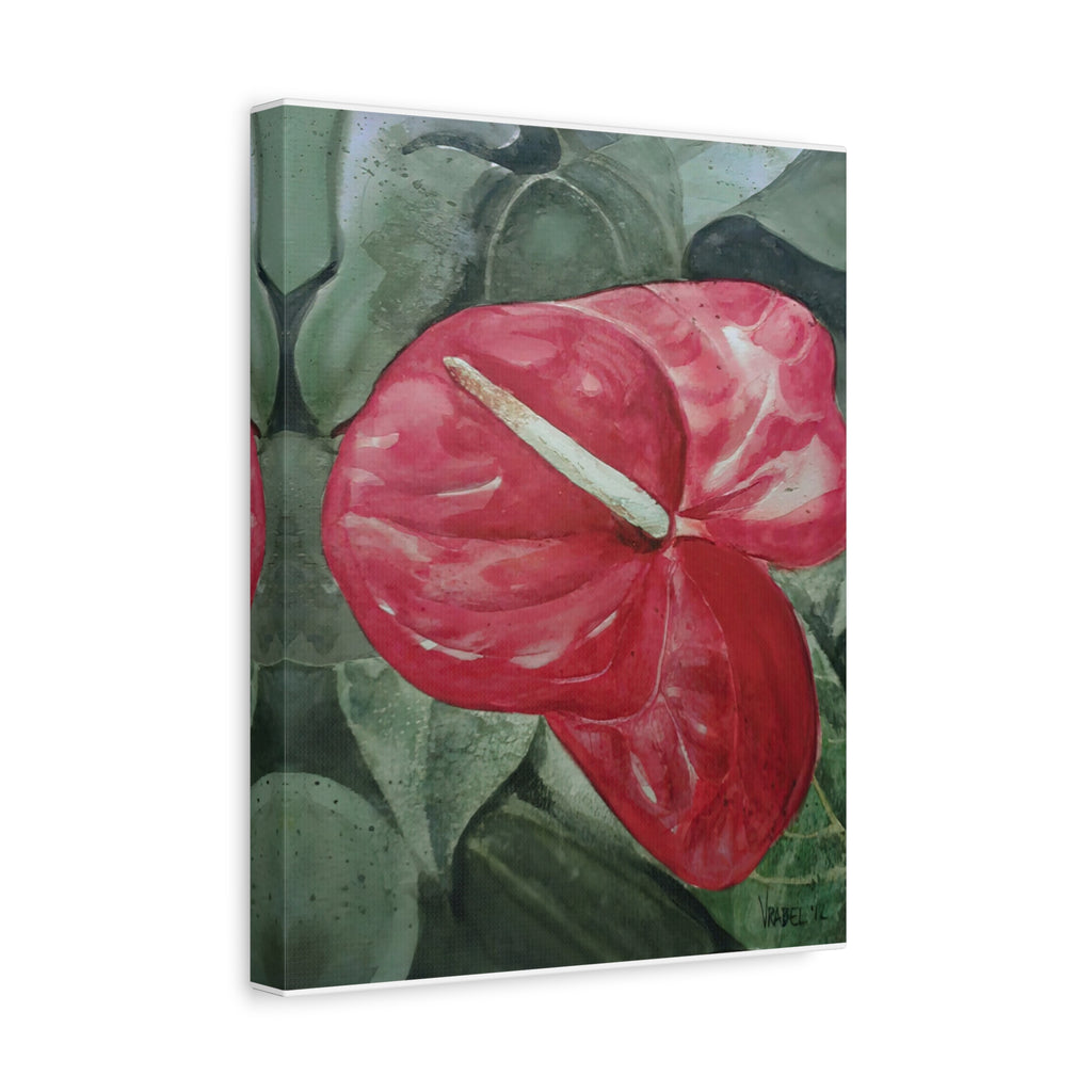 Single Anthurium - Canvas Fine Art Print