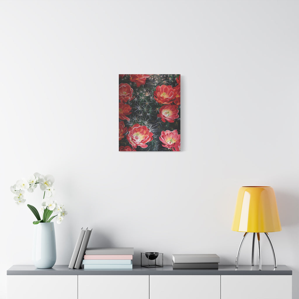 Cactus Flower - Canvas Fine Art Print