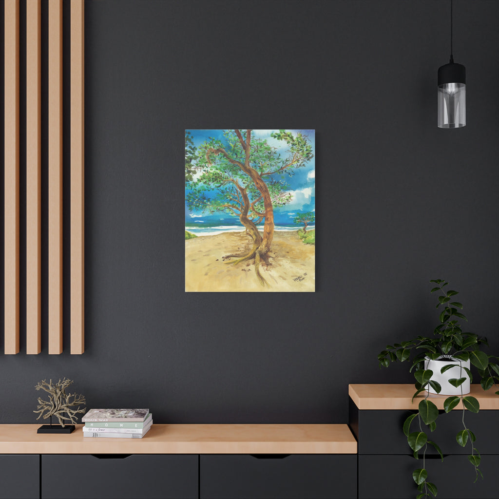 Beach Tree - Canvas Fine Art Print