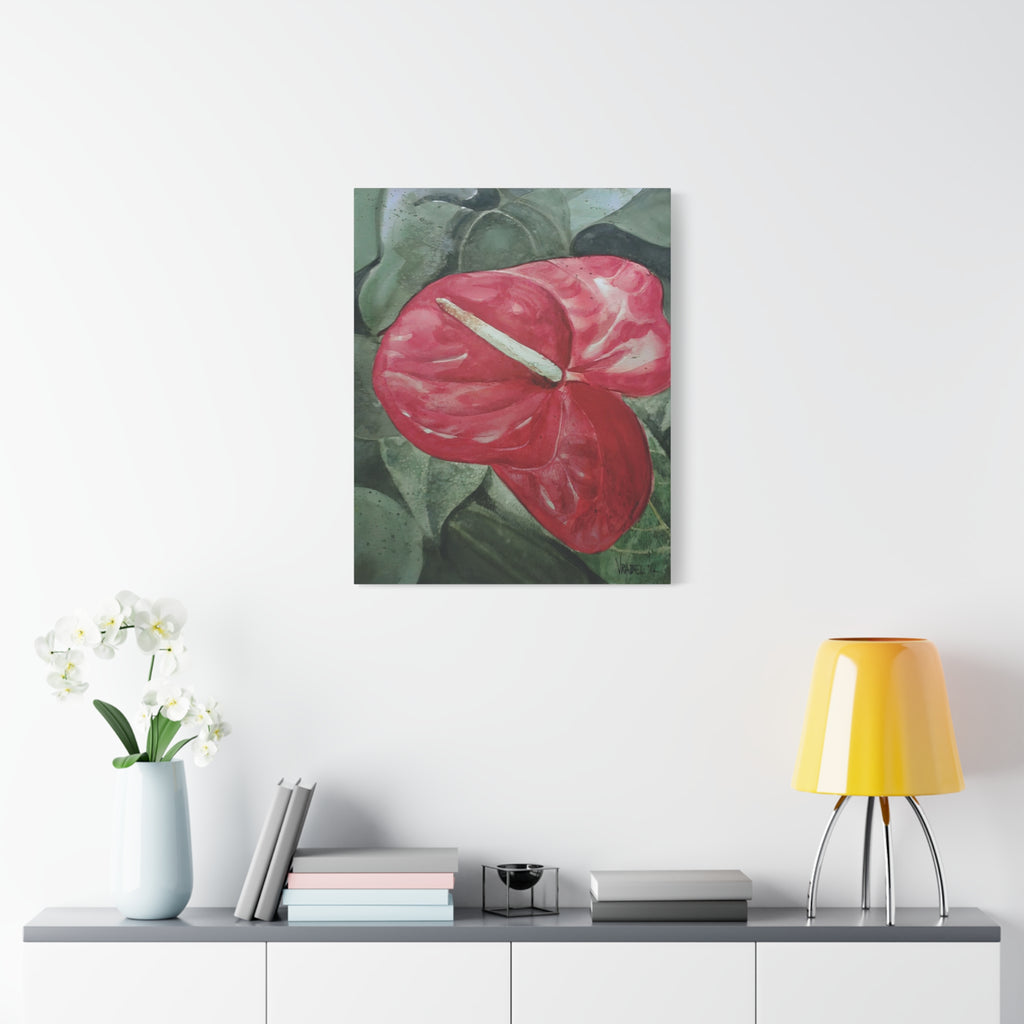 Single Anthurium - Canvas Fine Art Print