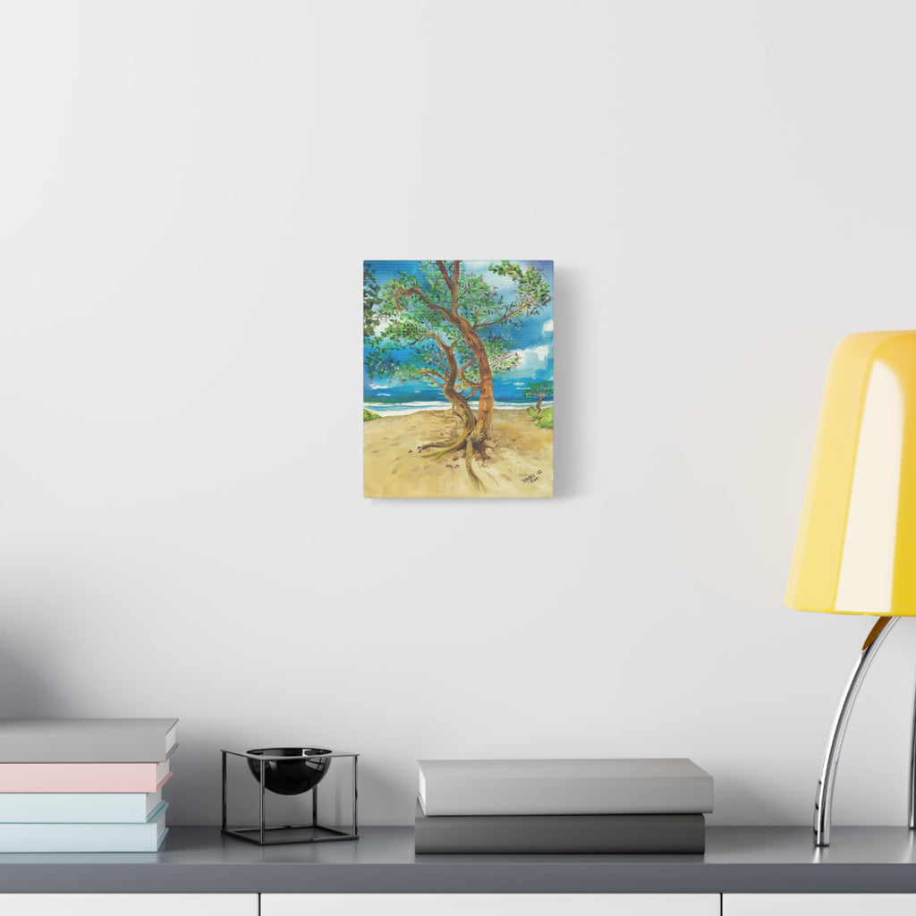 Beach Tree - Canvas Fine Art Print