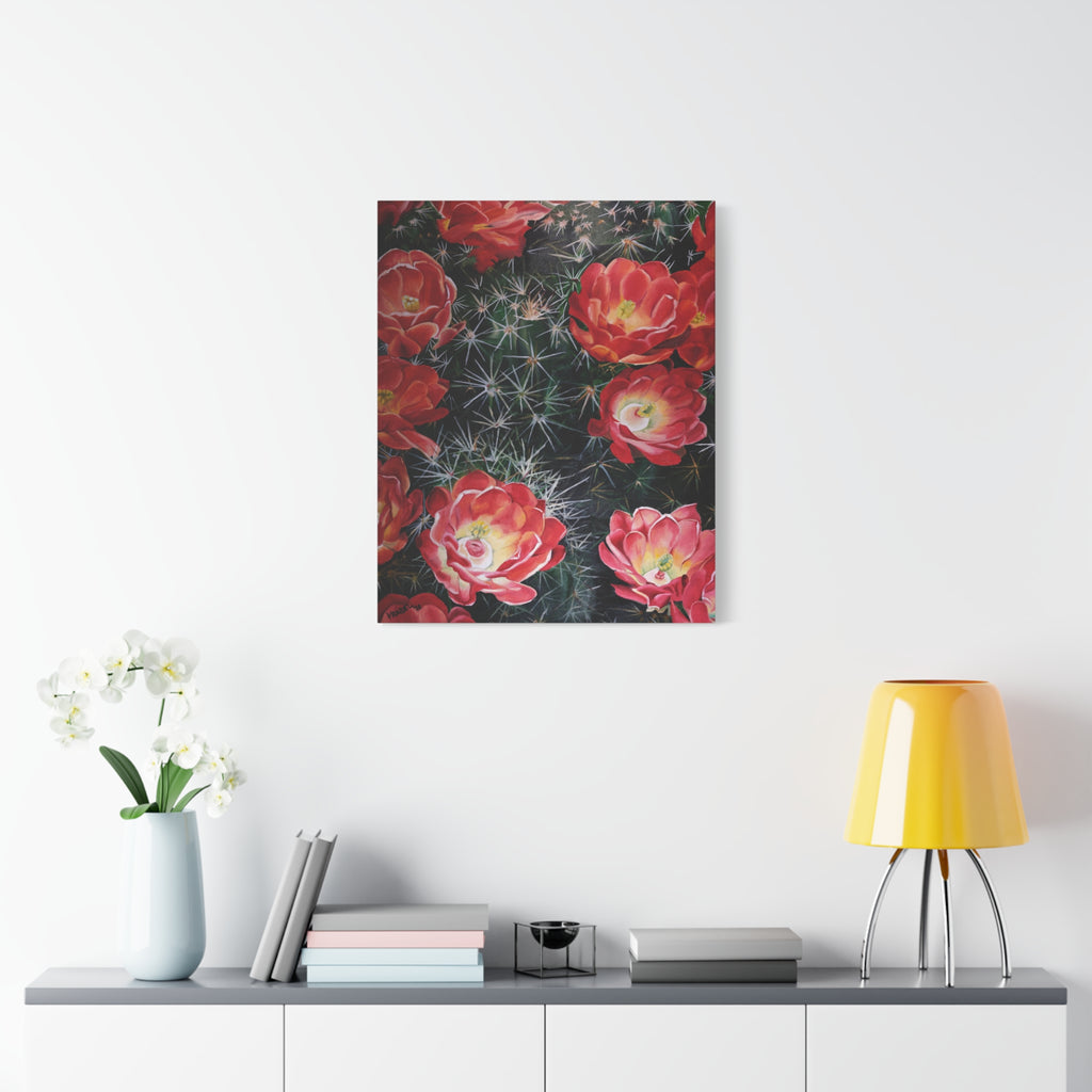 Cactus Flower - Canvas Fine Art Print