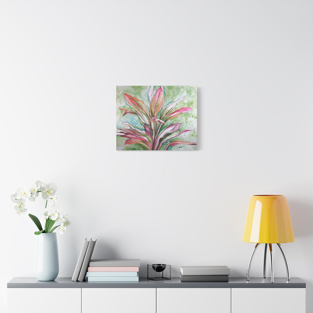 Ti Plant - Canvas Fine Art Print
