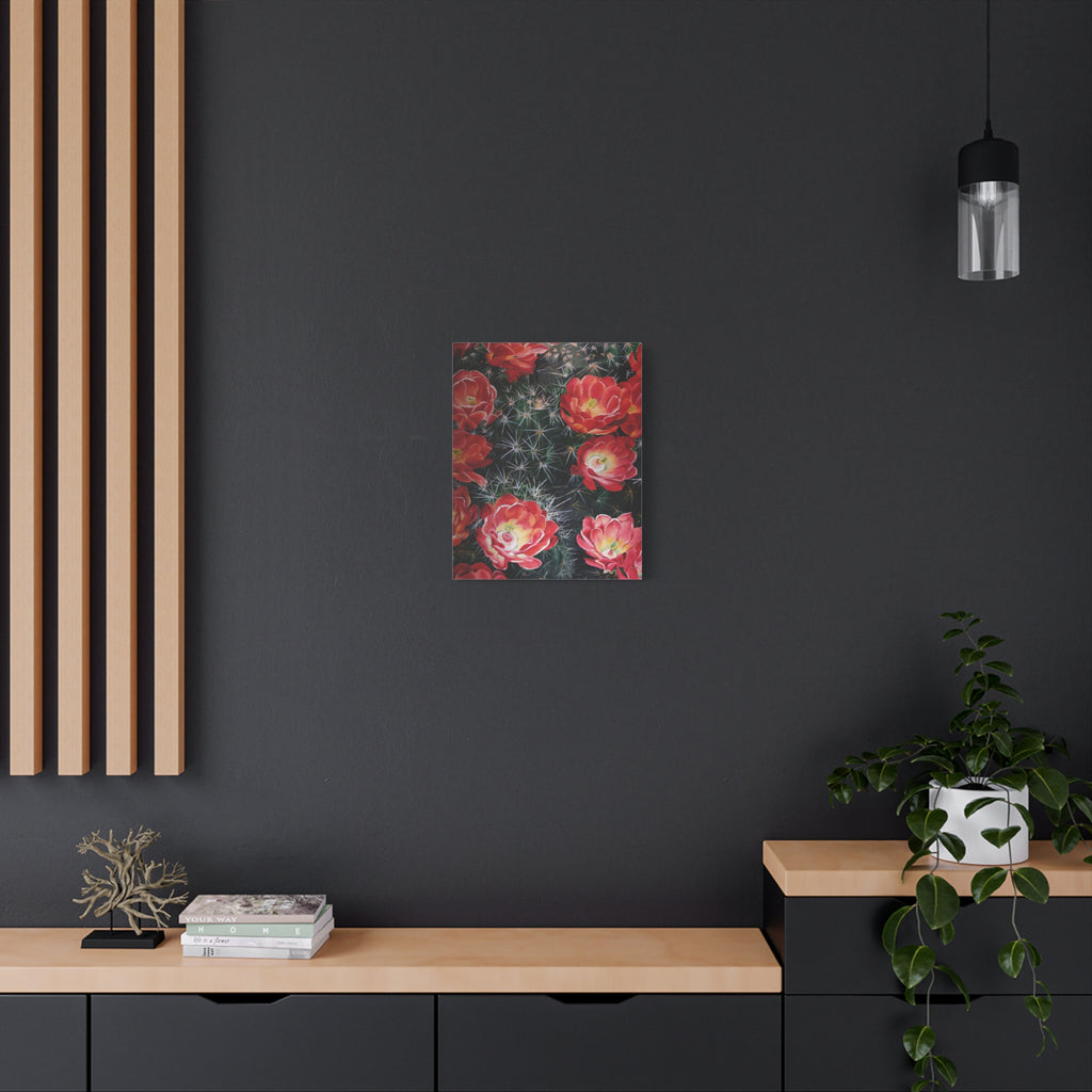 Cactus Flower - Canvas Fine Art Print