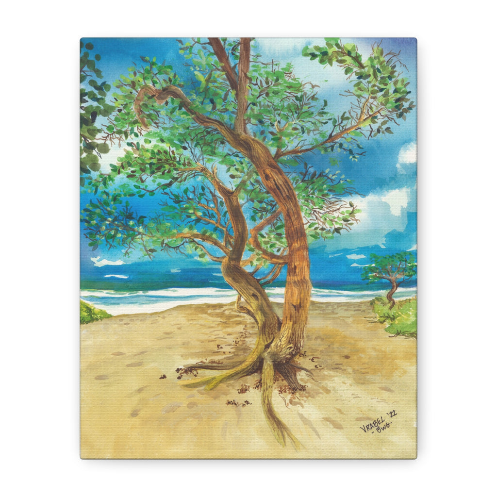 Beach Tree - Canvas Fine Art Print