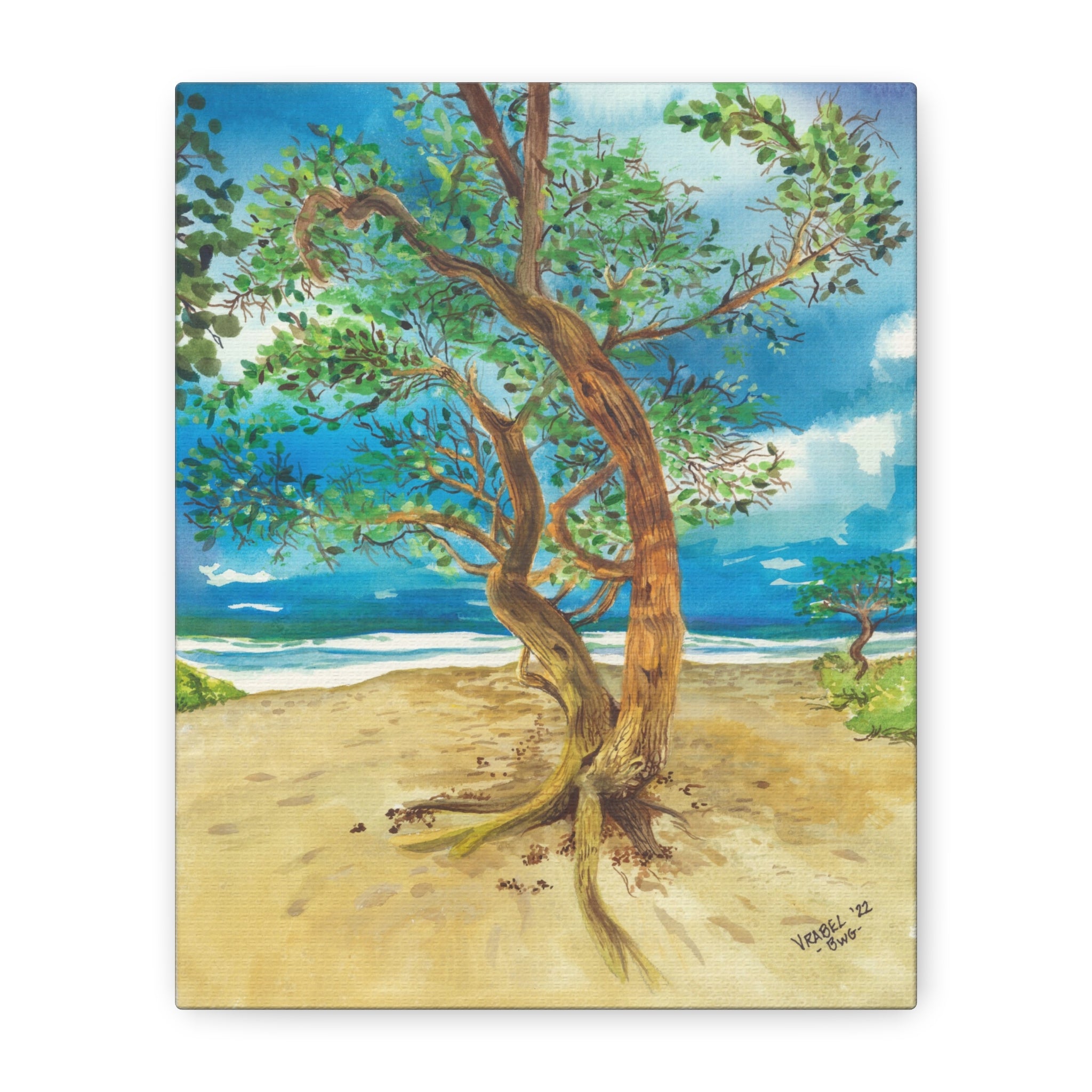 Beach Tree - Canvas Fine Art Print