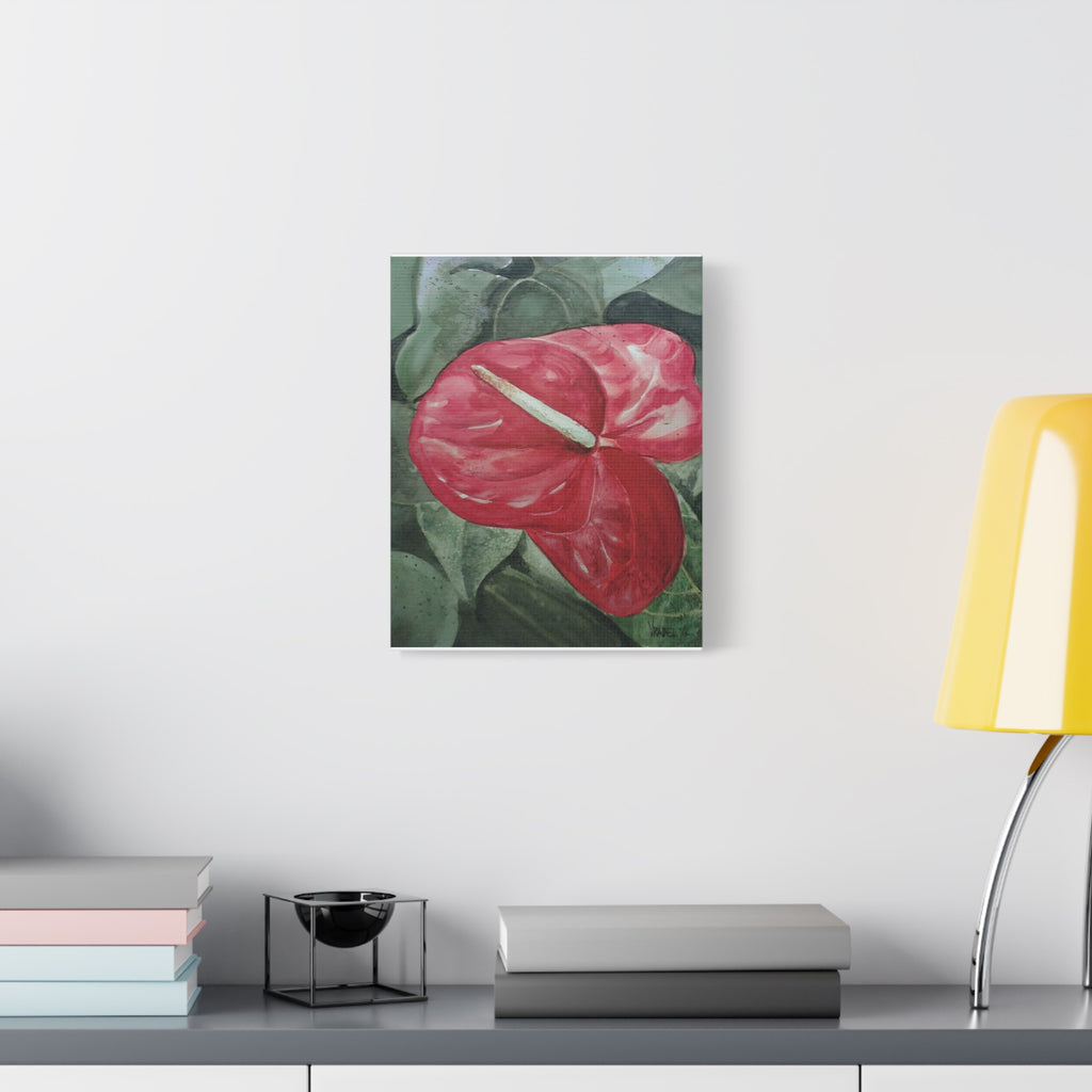 Single Anthurium - Canvas Fine Art Print