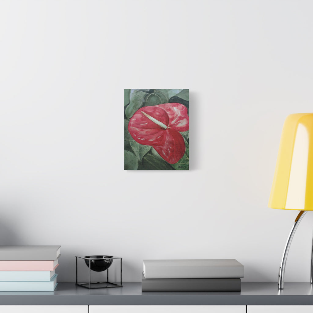 Single Anthurium - Canvas Fine Art Print