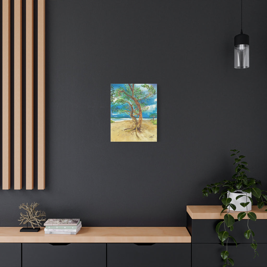 Beach Tree - Canvas Fine Art Print