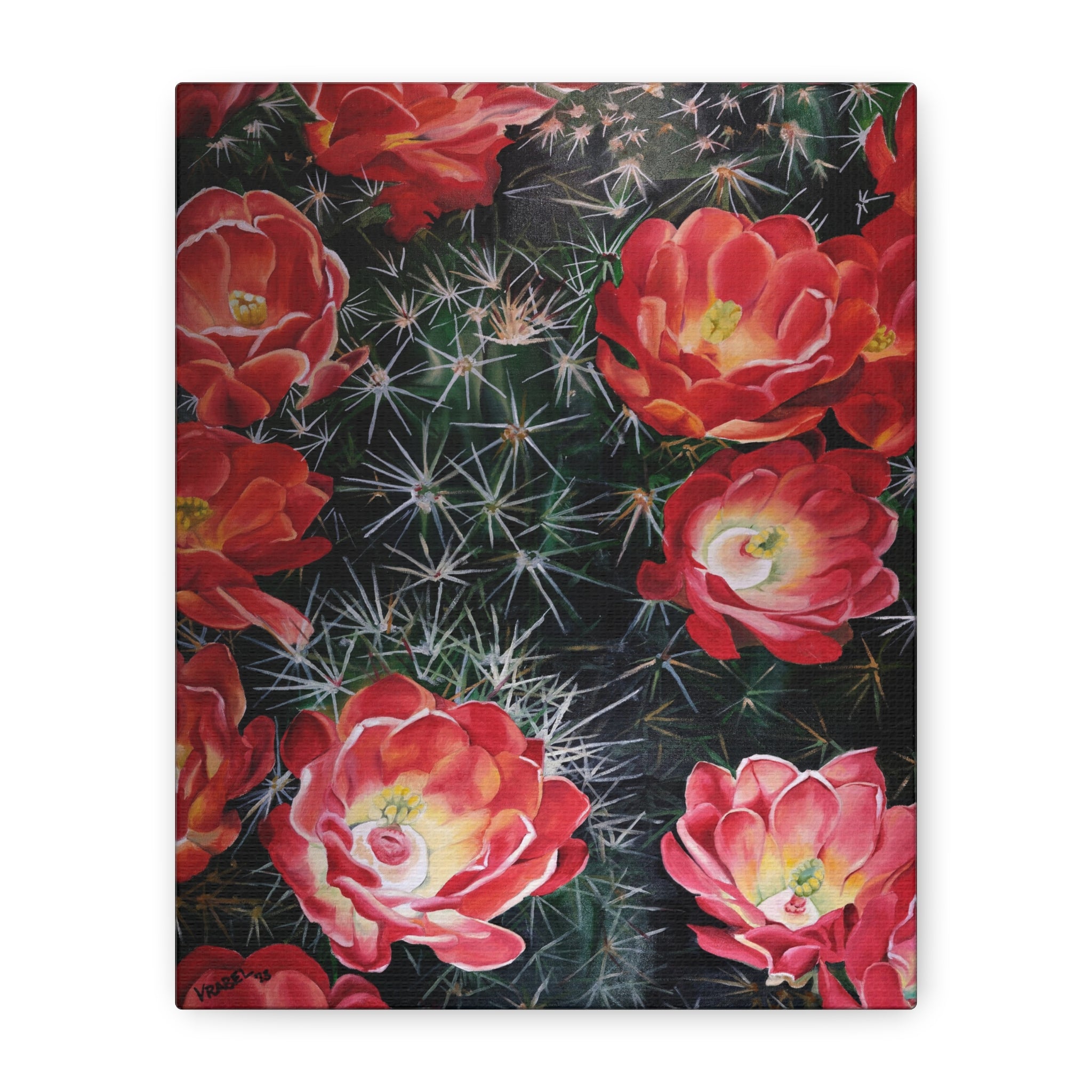Cactus Flower - Canvas Fine Art Print