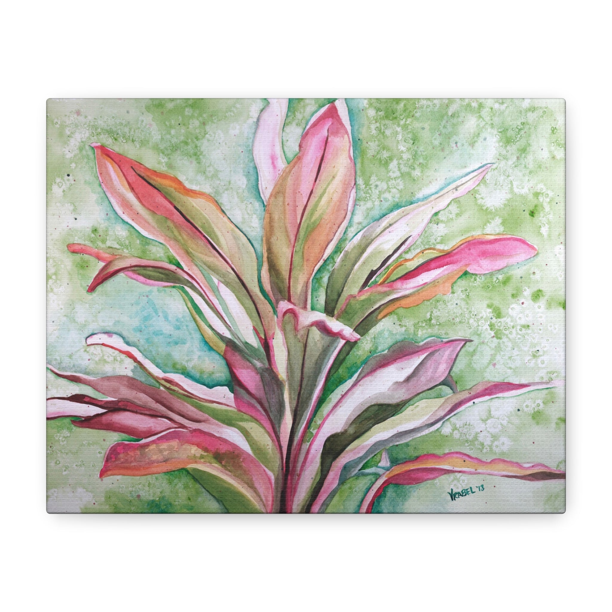 Ti Plant - Canvas Fine Art Print