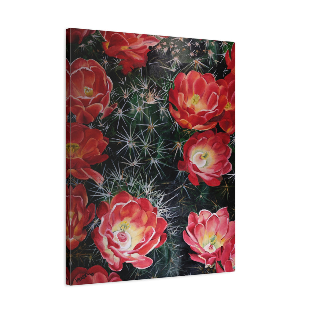 Cactus Flower - Canvas Fine Art Print