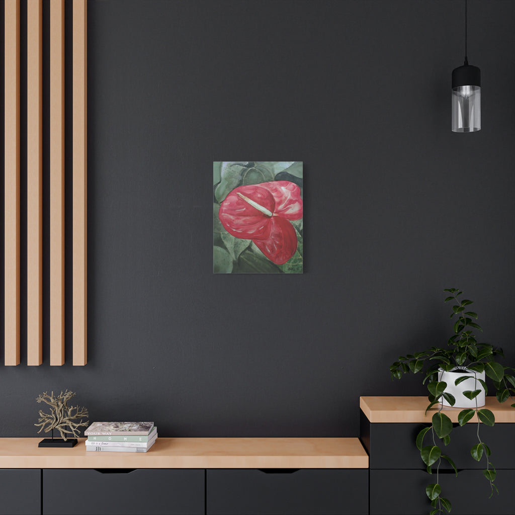 Single Anthurium - Canvas Fine Art Print