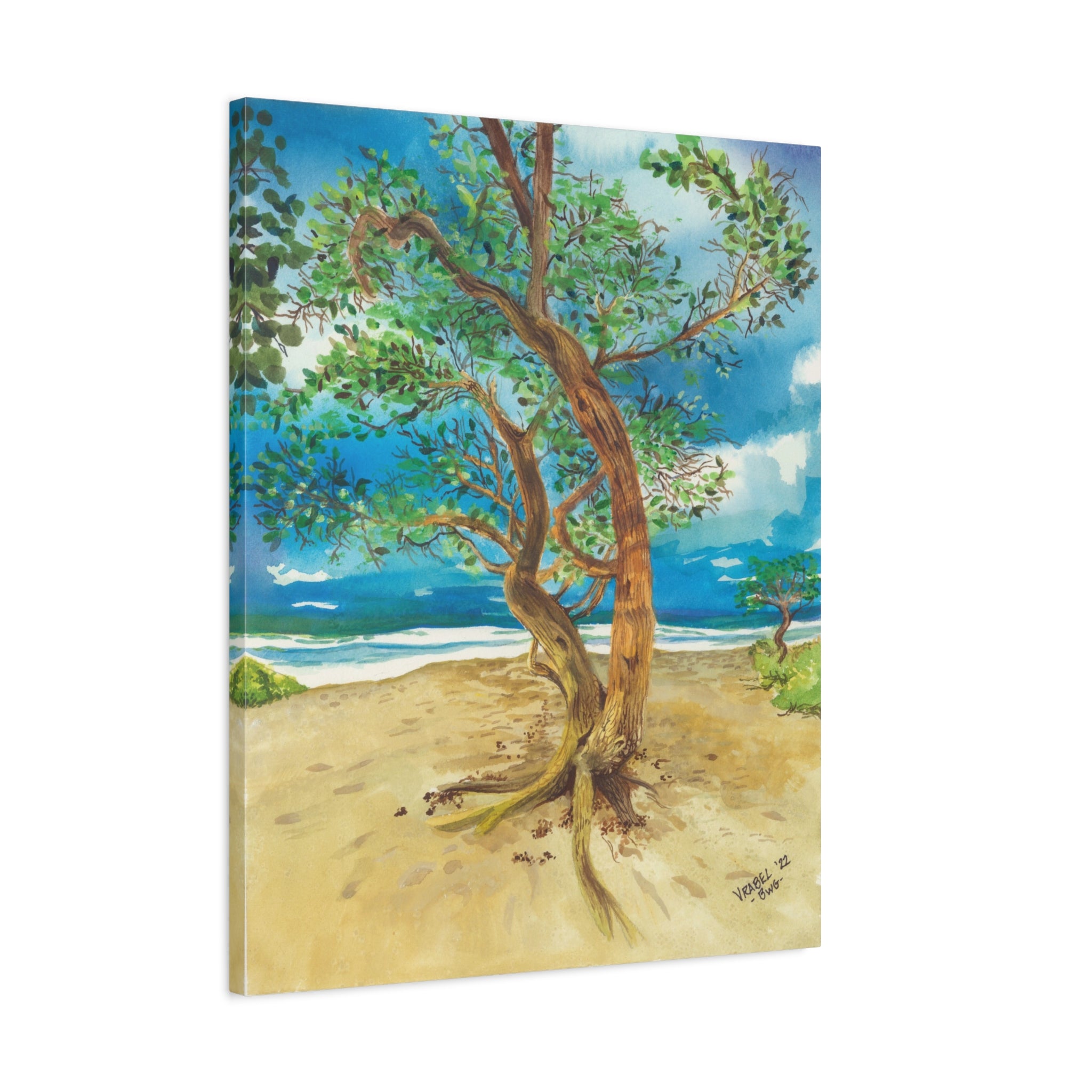 Beach Tree - Canvas Fine Art Print