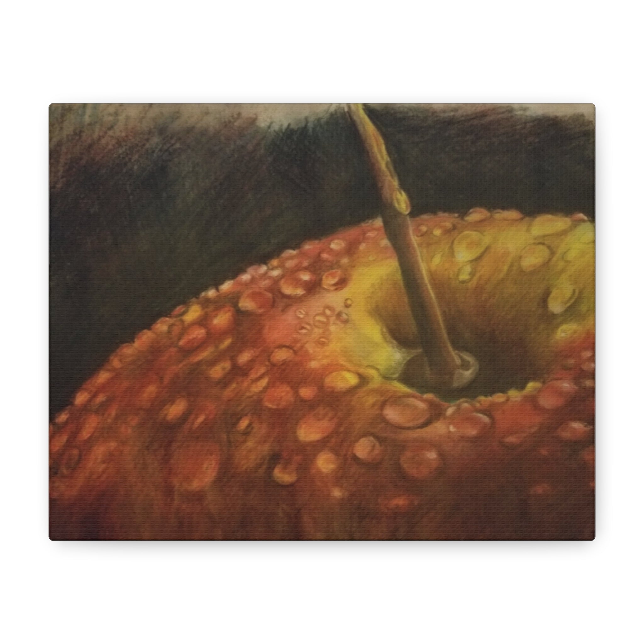 Apple Closeup - Canvas Fine Art Print