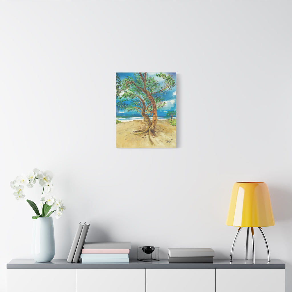 Beach Tree - Canvas Fine Art Print