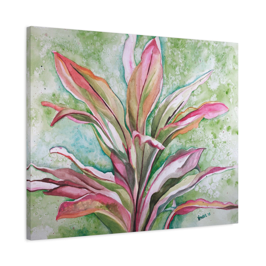 Ti Plant - Canvas Fine Art Print