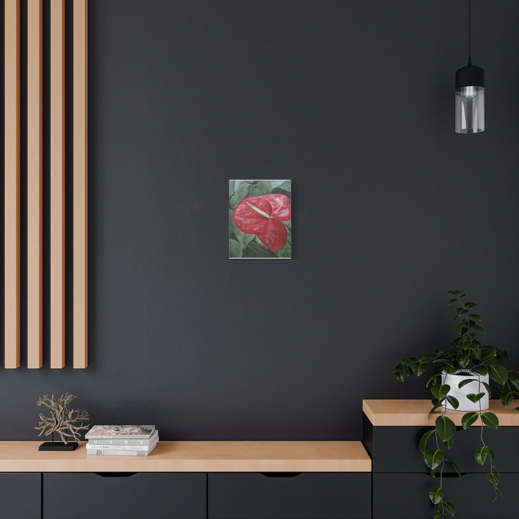 Single Anthurium - Canvas Fine Art Print