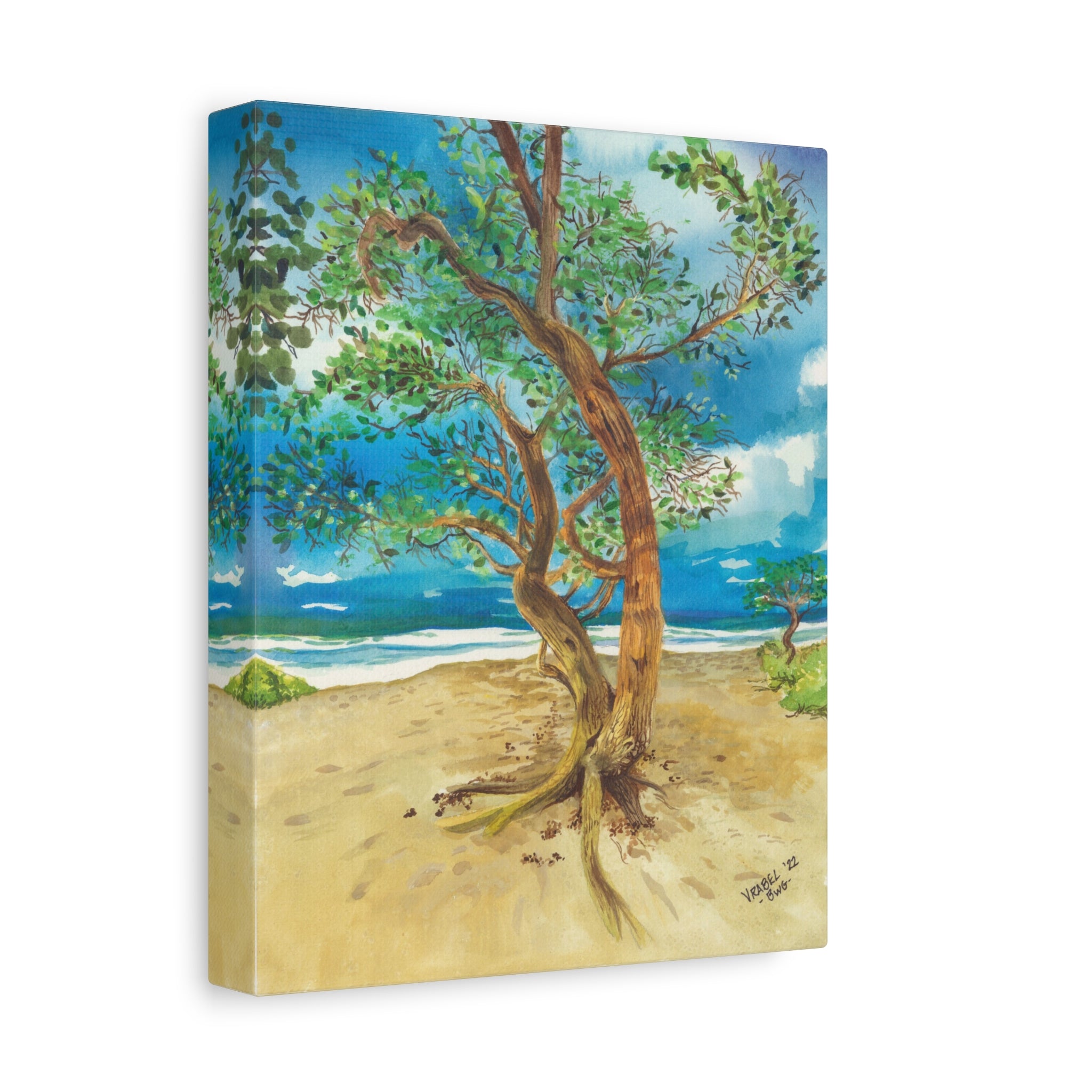 Beach Tree - Canvas Fine Art Print