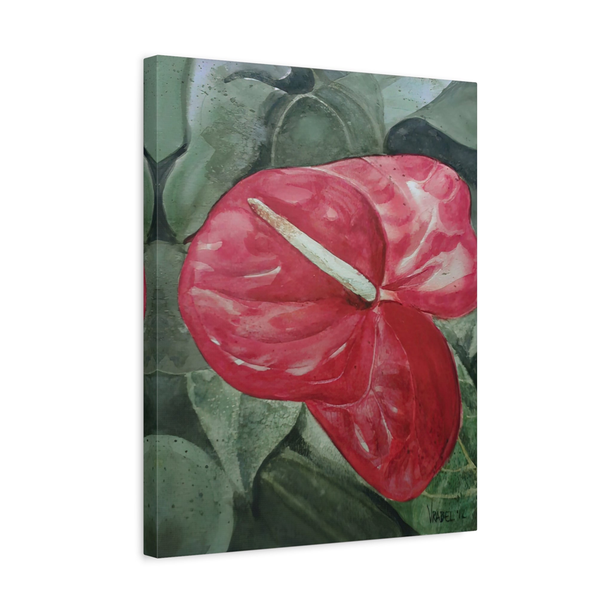 Single Anthurium - Canvas Fine Art Print