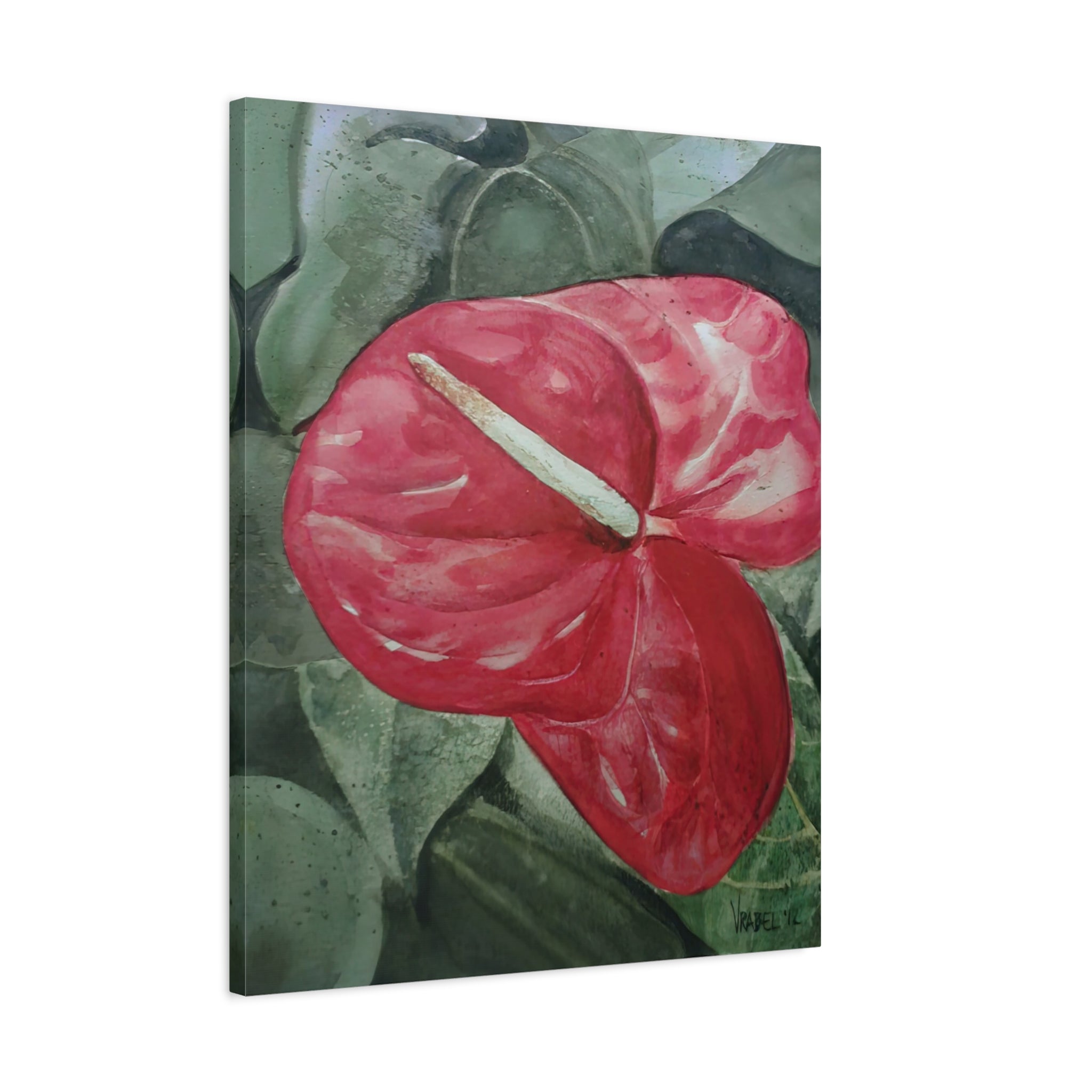 Single Anthurium - Canvas Fine Art Print