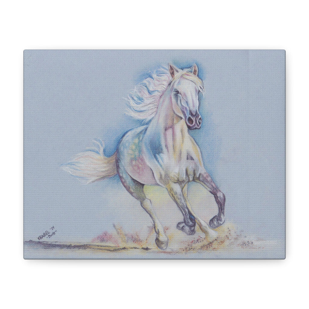 Chasing the Horizon - Canvas Fine Art Print