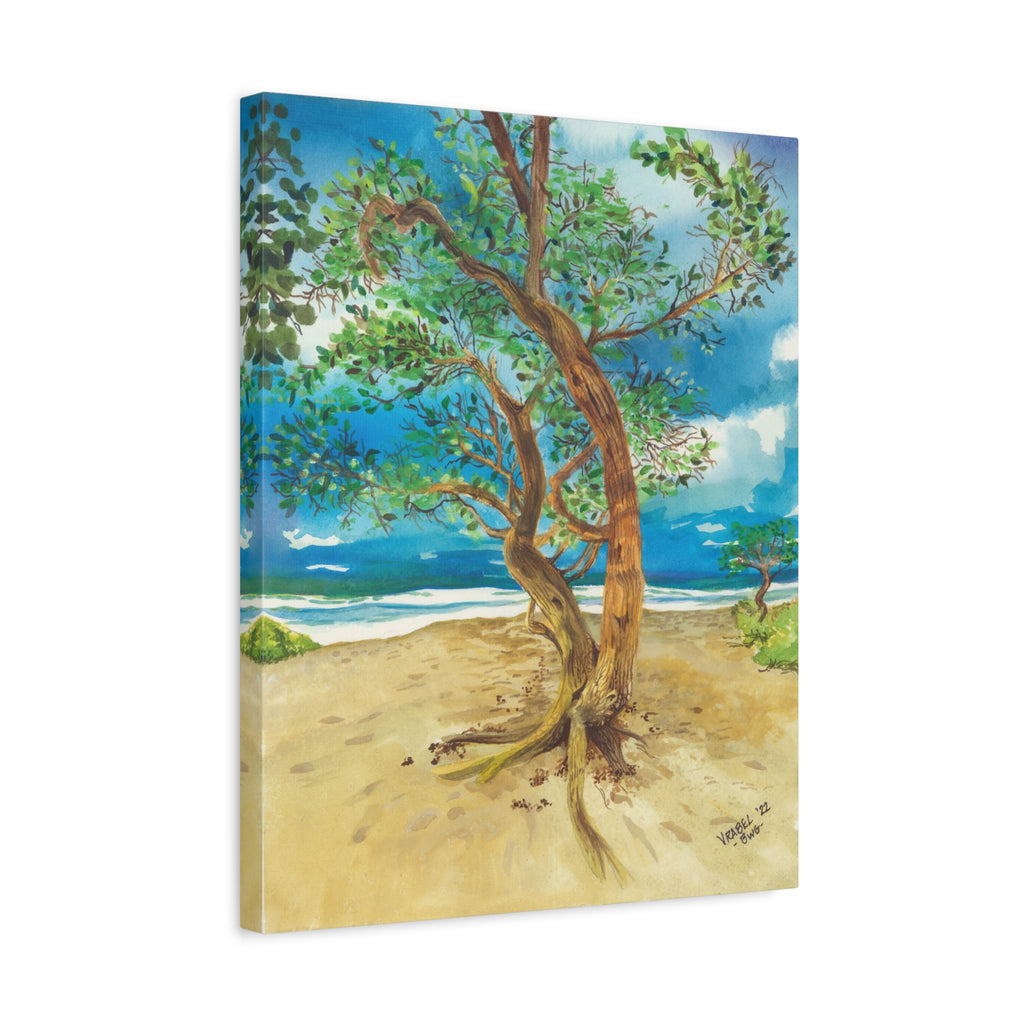 Beach Tree - Canvas Fine Art Print