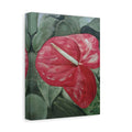 Single Anthurium - Canvas Fine Art Print