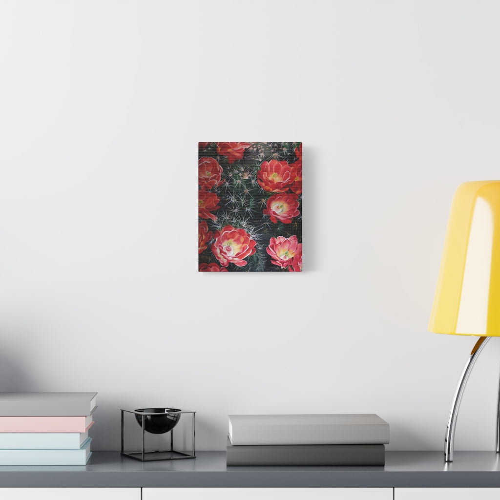 Cactus Flower - Canvas Fine Art Print