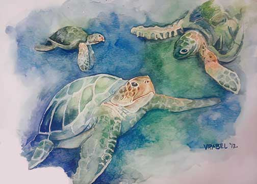3 Honu - Lustre Photo