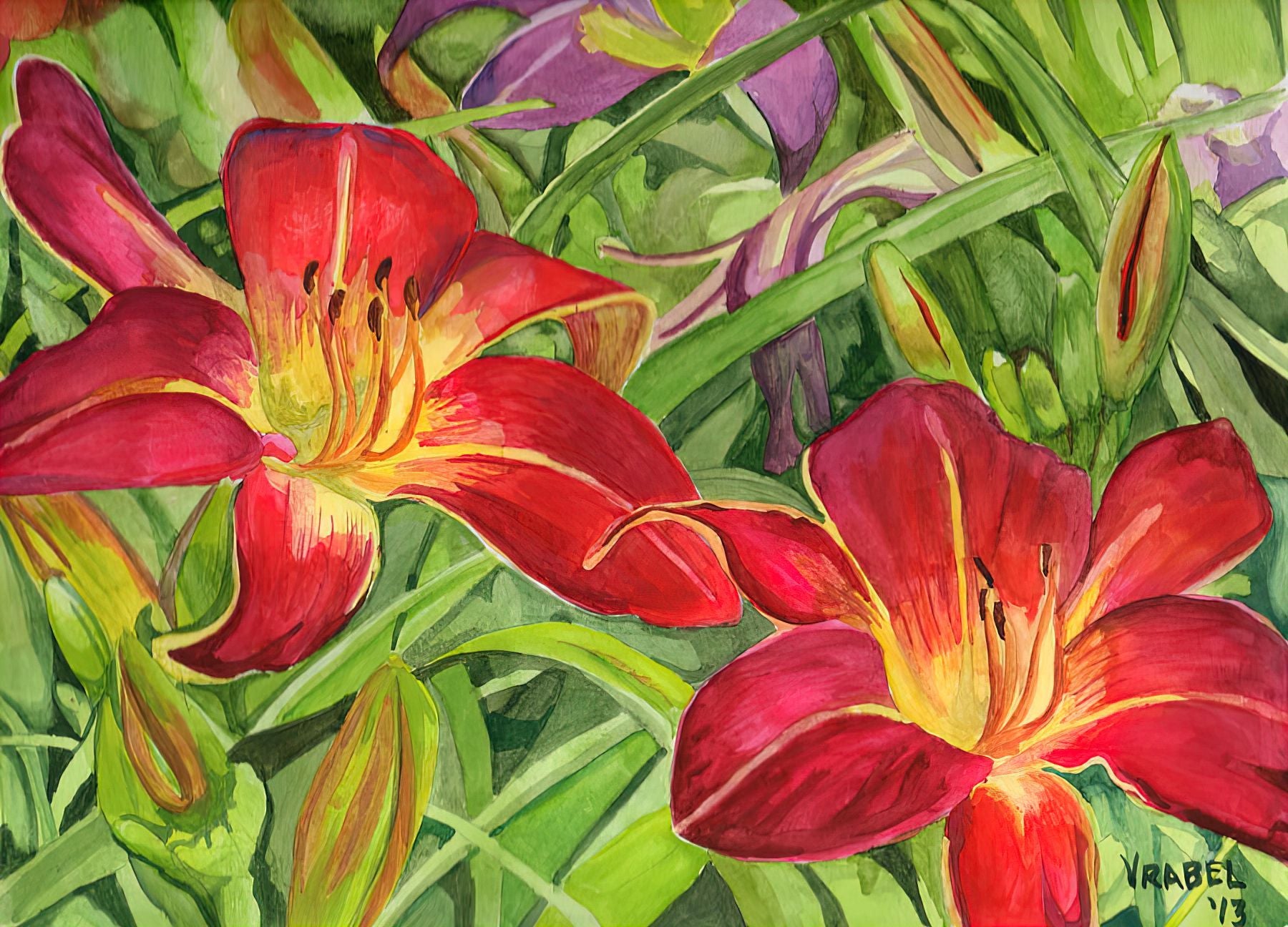 Red Day Lily - Lustre Photo