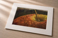 Apple Closeup – Matted