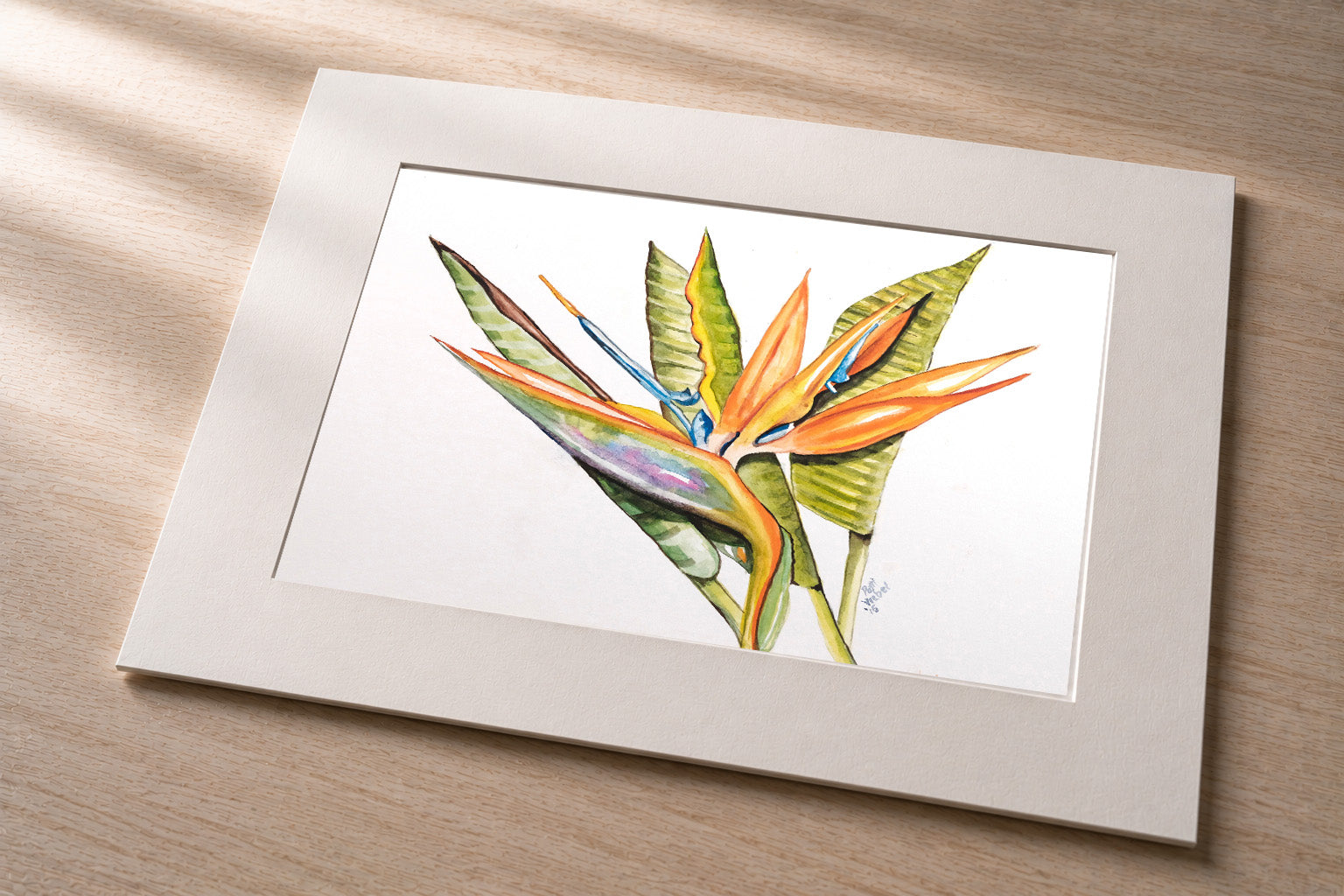 Bird of Paradise (High Contrast) – Matted Fine Art Photo Print