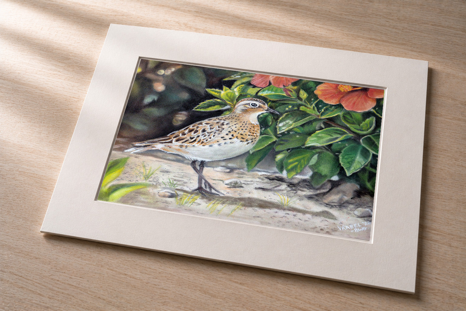 Kolea’s Rest – Matted Fine Art Photo Print