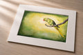 Rose Ringed Parakeet – Matted Fine Art Print