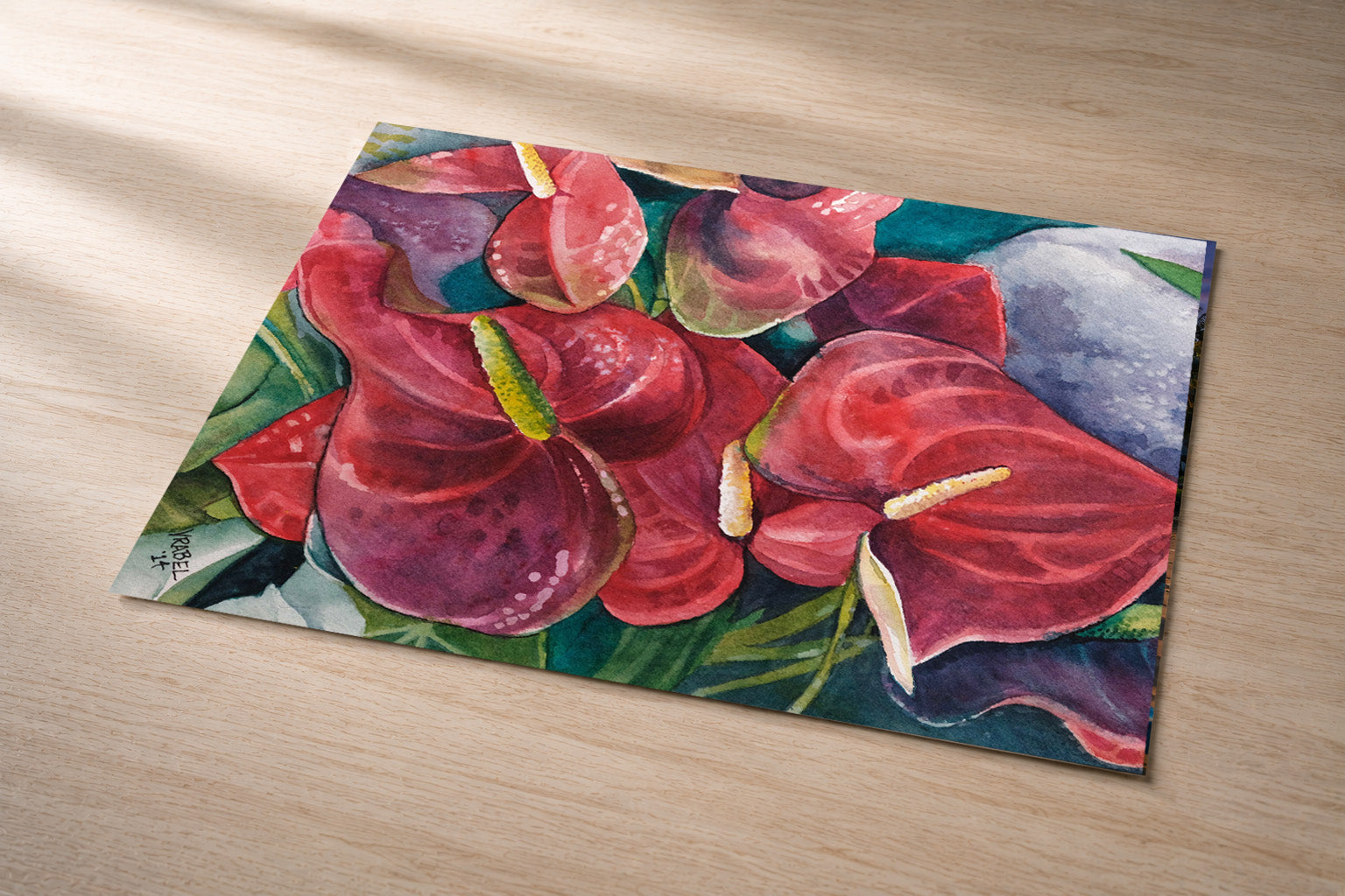 Red Anthurium – Fine Art Photo Print