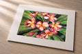 Red and Yellow Plumeria – Matted Fine Art Print