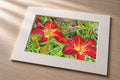 Red Day Lily - Matted