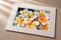 White Plumeria – Matted Fine Art Print