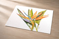 Bird of Paradise (High Contrast) – Fine Art Photo Print
