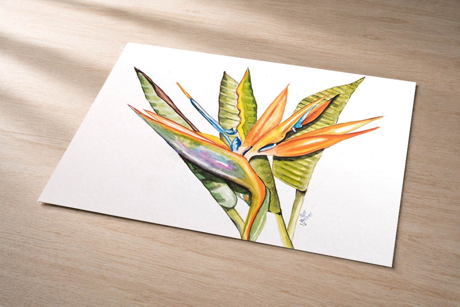 Bird of Paradise (High Contrast) – Fine Art Photo Print