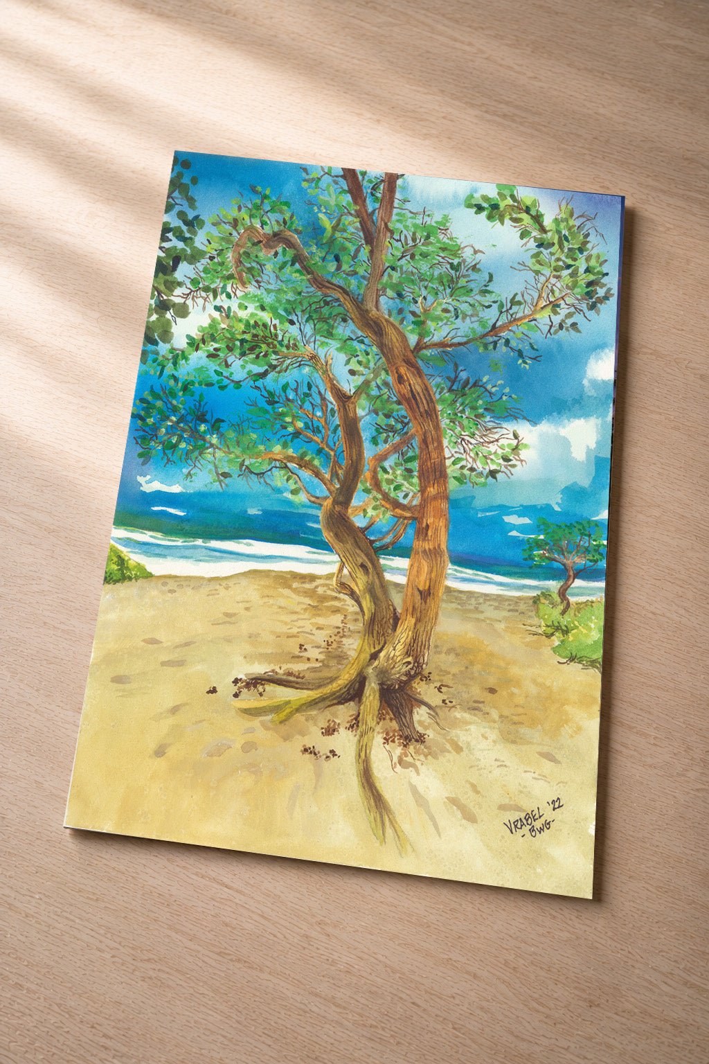 Beach Tree – Fine Art Photo Print